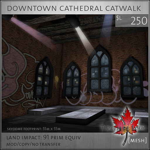 Downtown-cathedral-catwalk-L250-sales-box-image