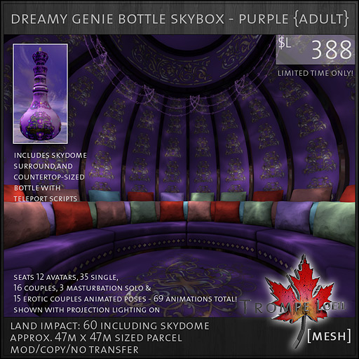 dreamy-genie-bottle-adult-purple-L388