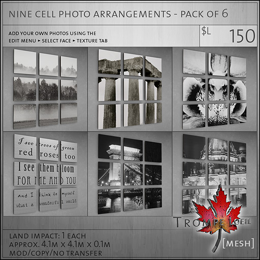 nine-cell-photo-arrangements-pack-of-6-L150