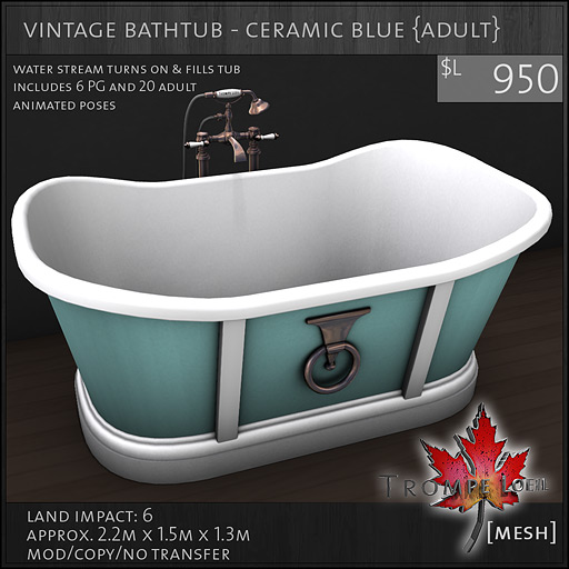 vintage-bathtub-ceramic-blue-Adult-L950