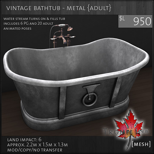 vintage-bathtub-metal-Adult-L950