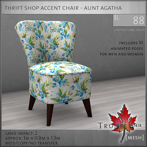 thrift-shop-accent-chair-aunt-agatha-L88