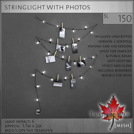 stringlight with photos sales image L150
