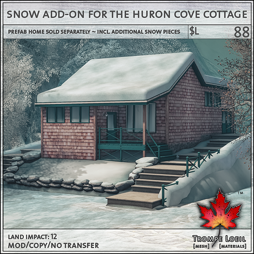 huron cove cottage snow add on L88