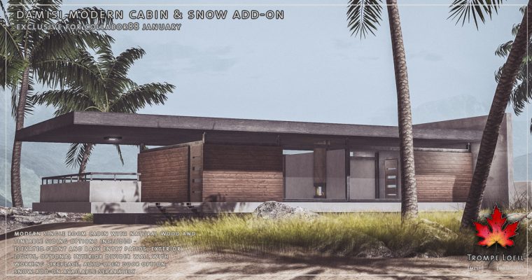 Damisi Modern Cabin for Collabor88 January